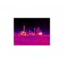 Fluke TiX620